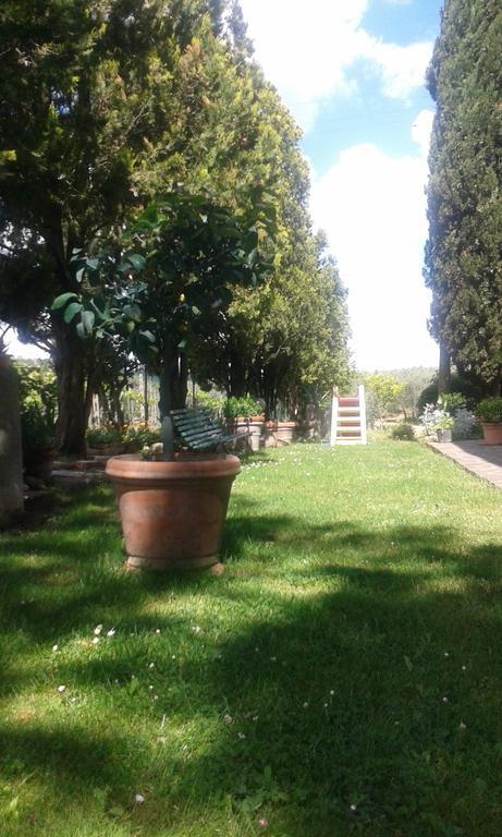 La Vecchia Quercia Villa Pergine Valdarno ภายนอก รูปภาพ