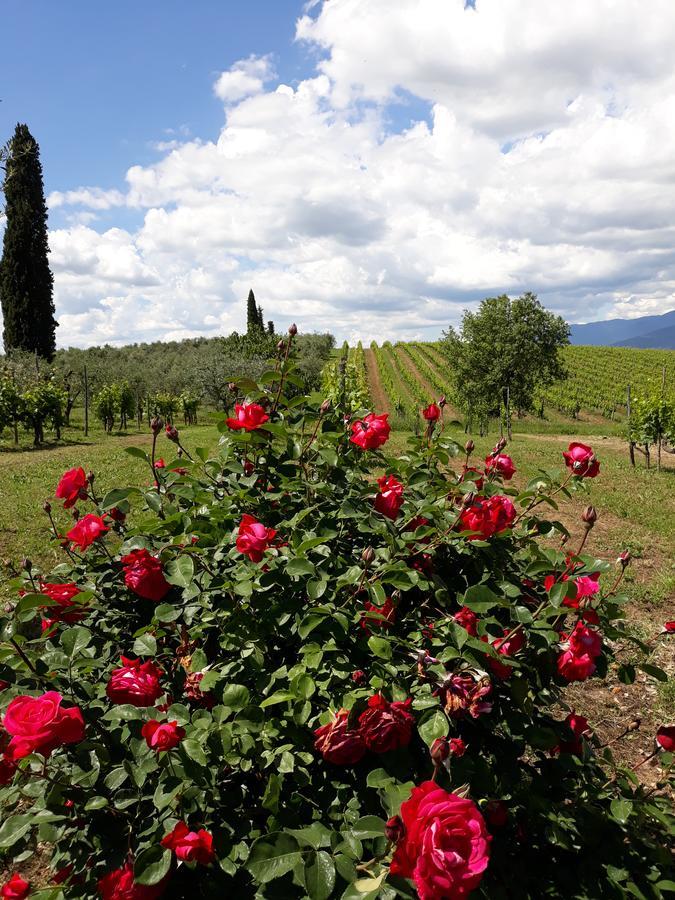 La Vecchia Quercia Villa Pergine Valdarno ภายนอก รูปภาพ